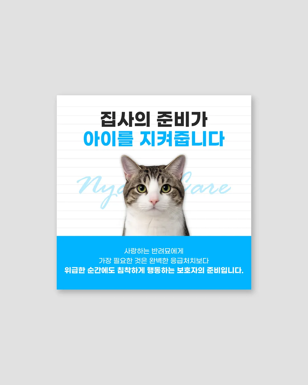 이미지 12