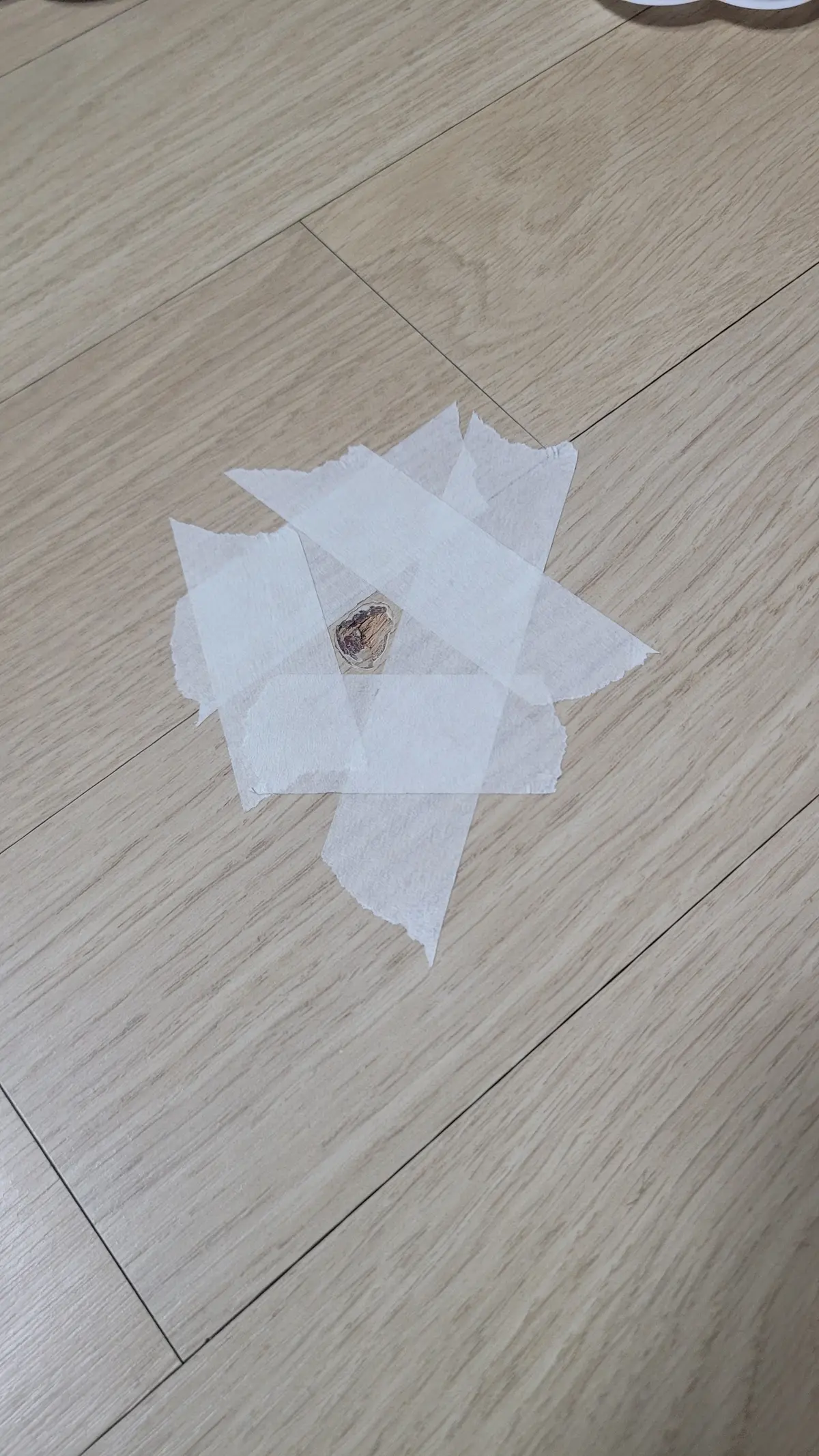 이미지 7