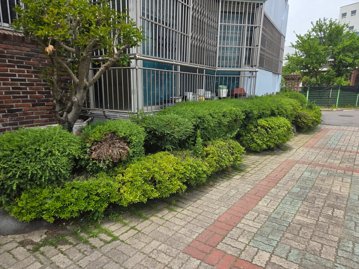 이미지 3