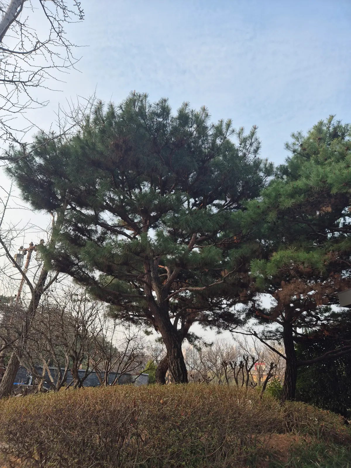 이미지 4