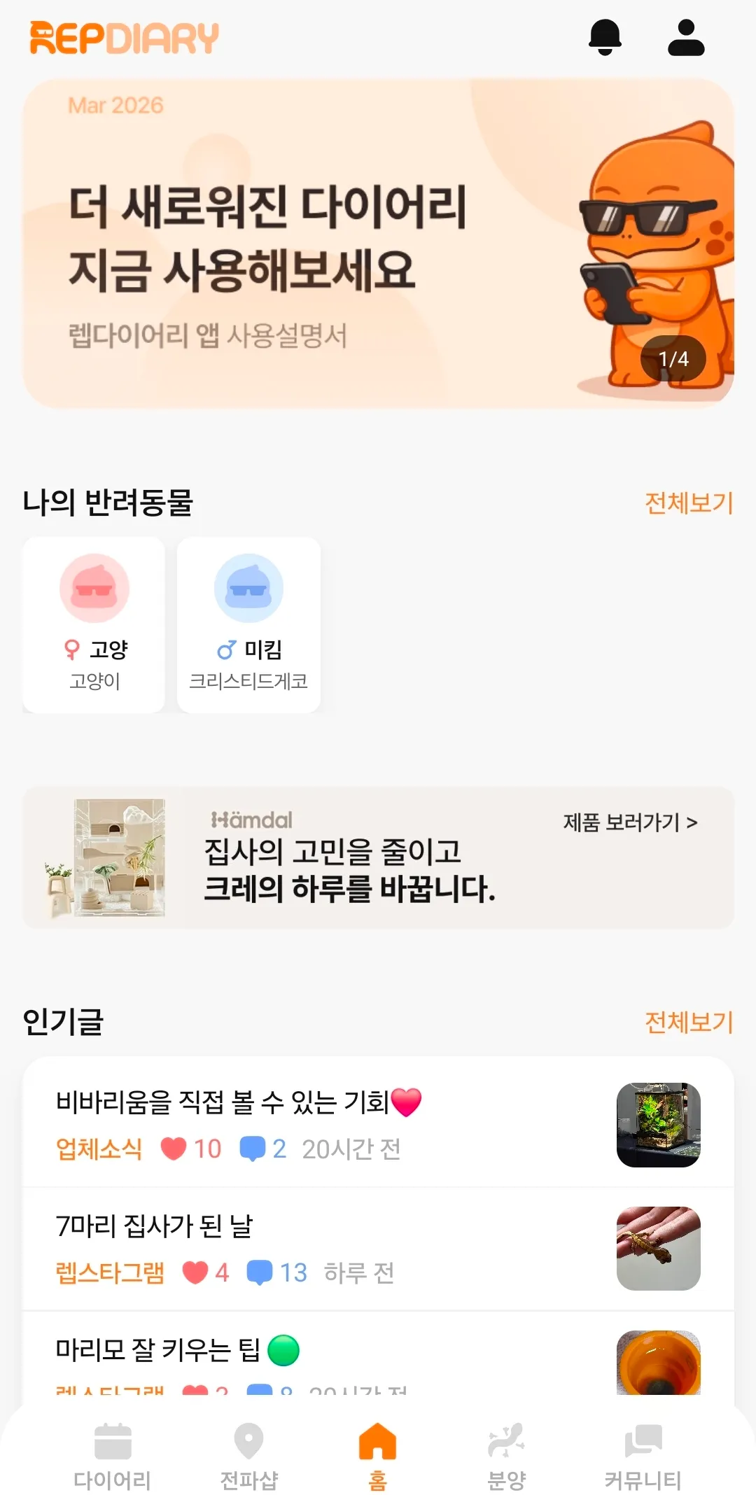 포트폴리오 이미지