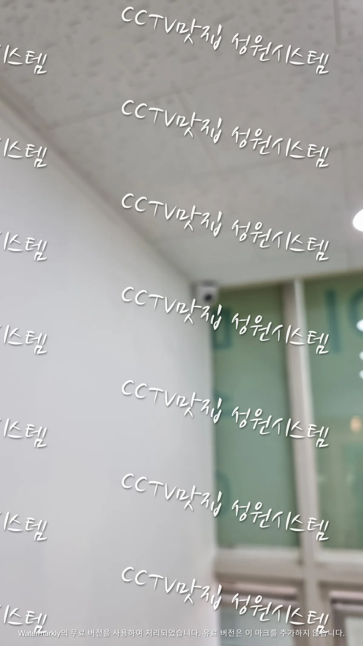이미지 9