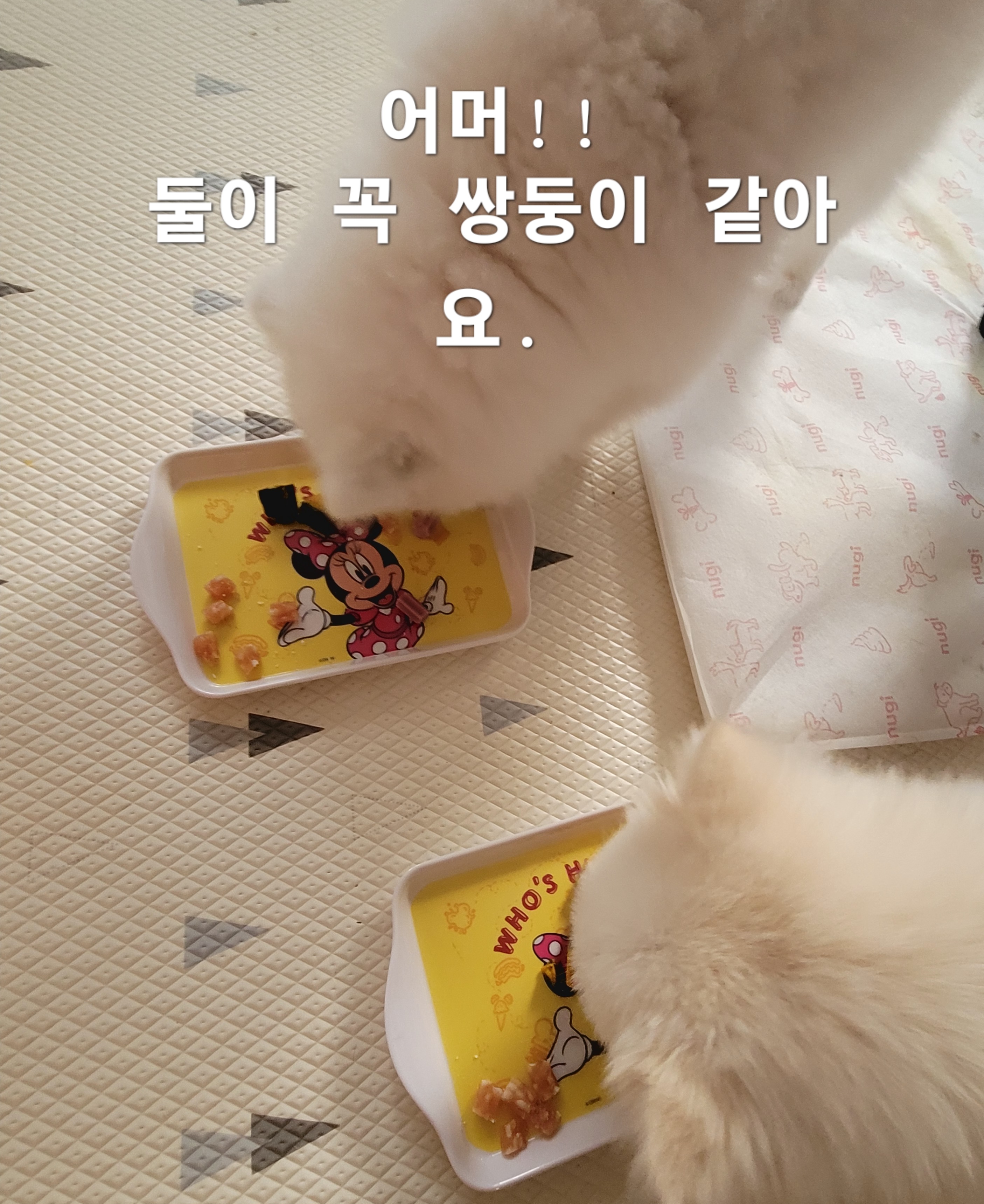 이미지 7