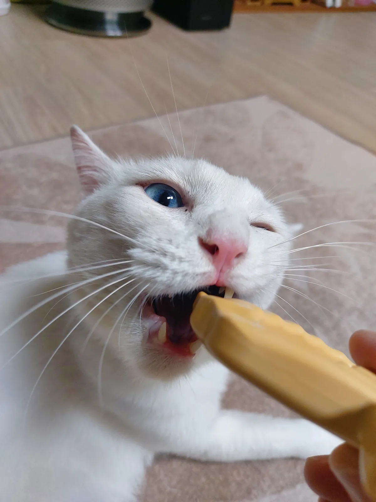이미지 6