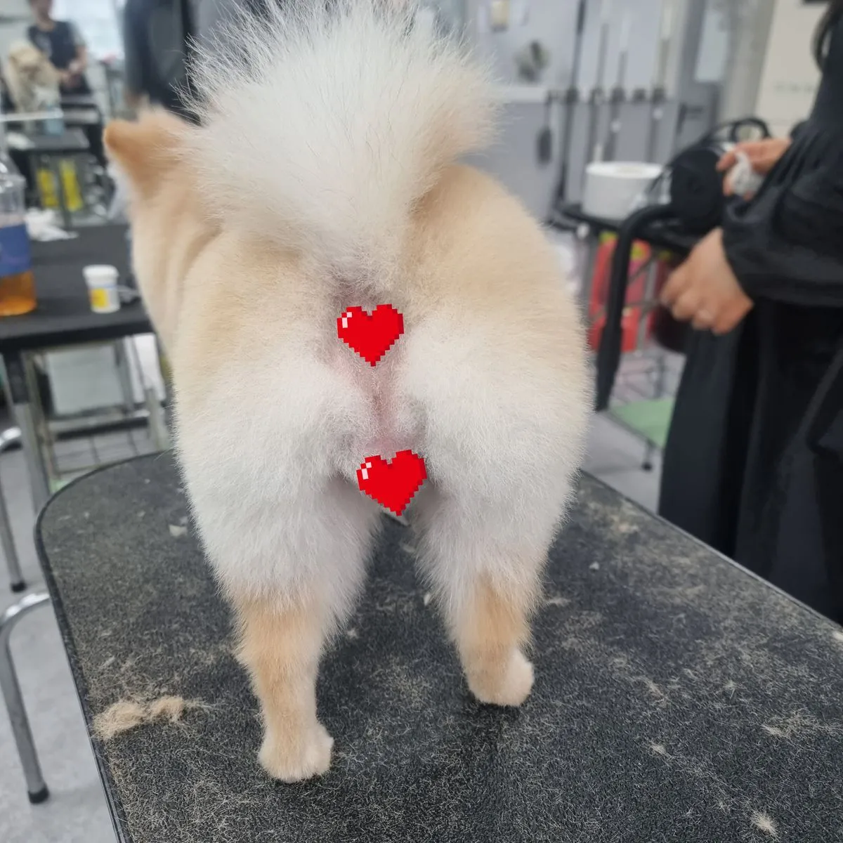 이미지 5