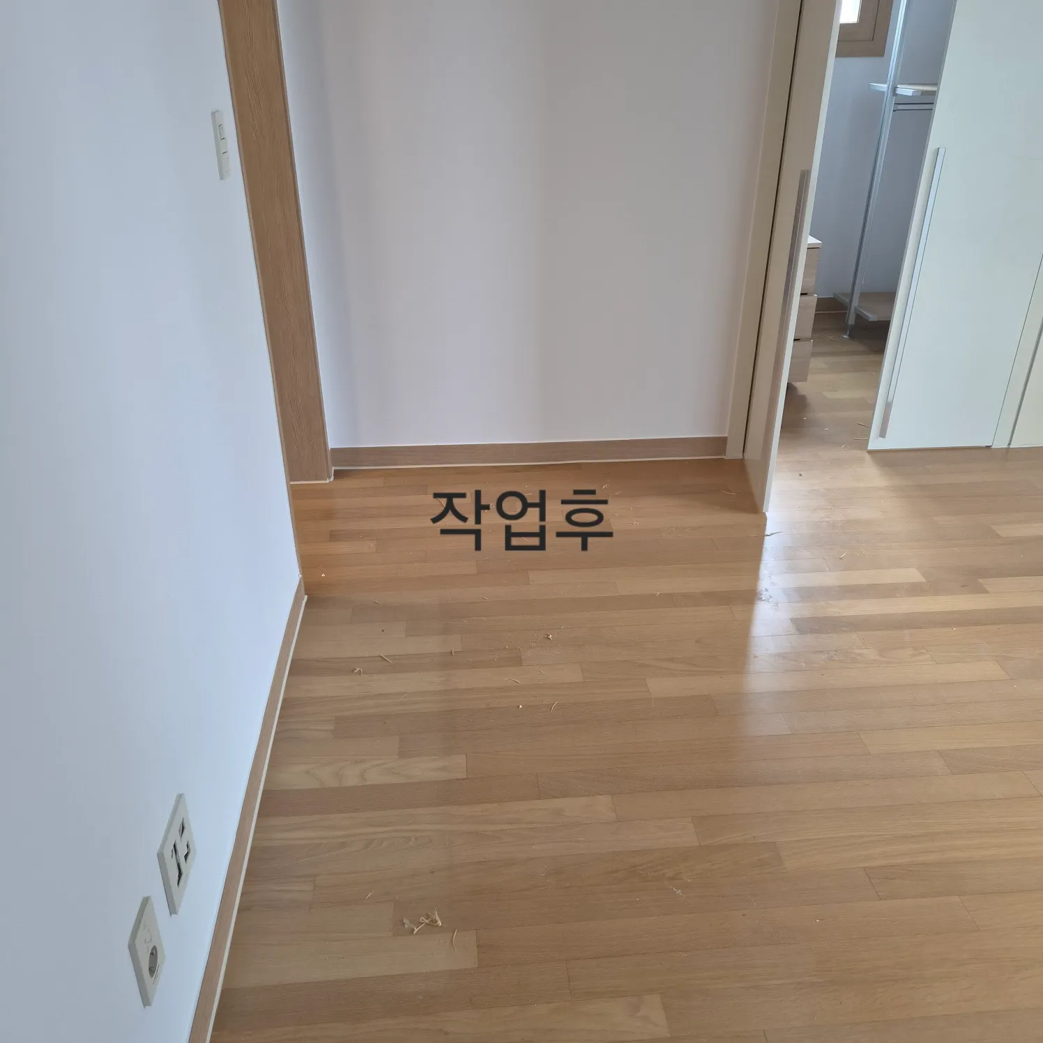 이미지 12
