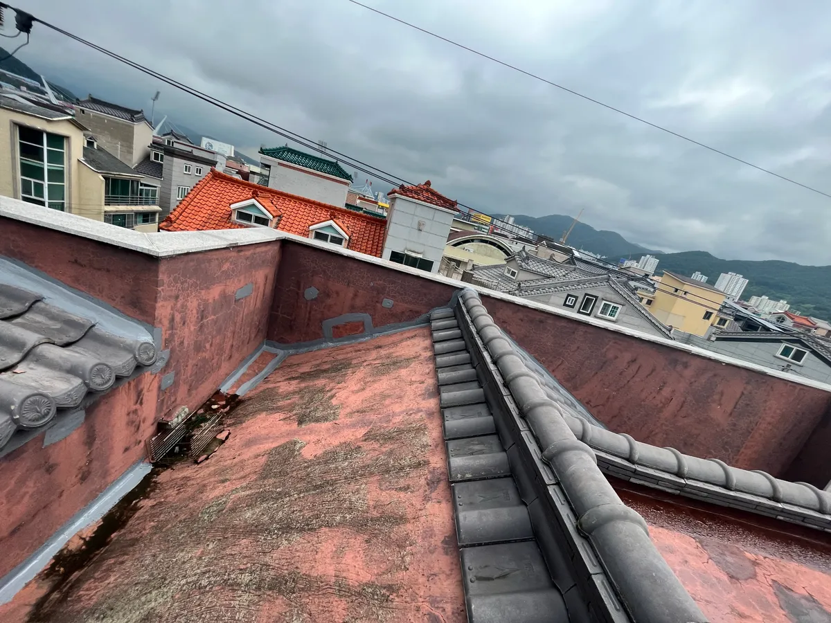 이미지 10