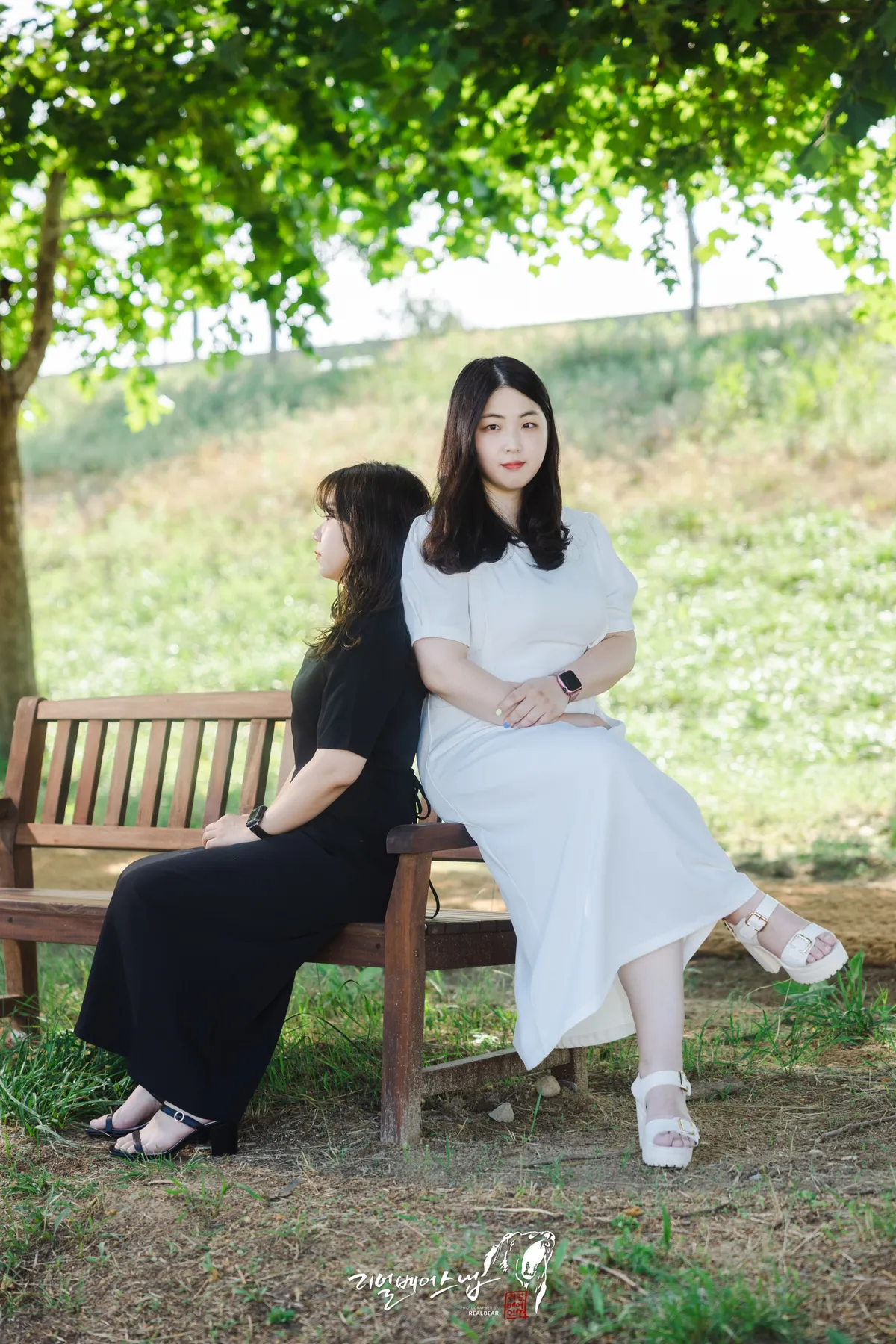 이미지 5
