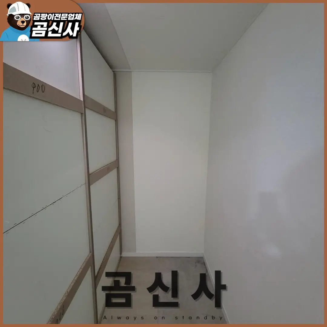 이미지 11