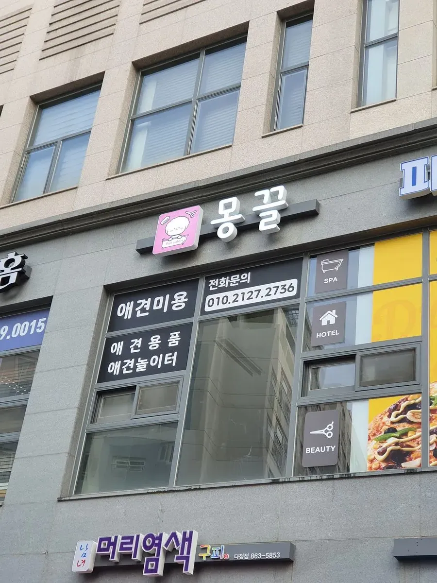 이미지 5