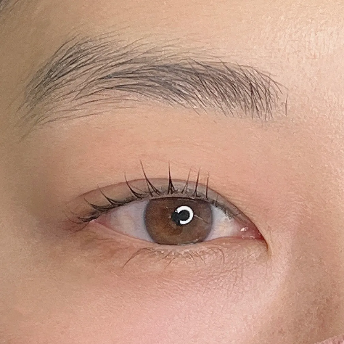 이미지 8