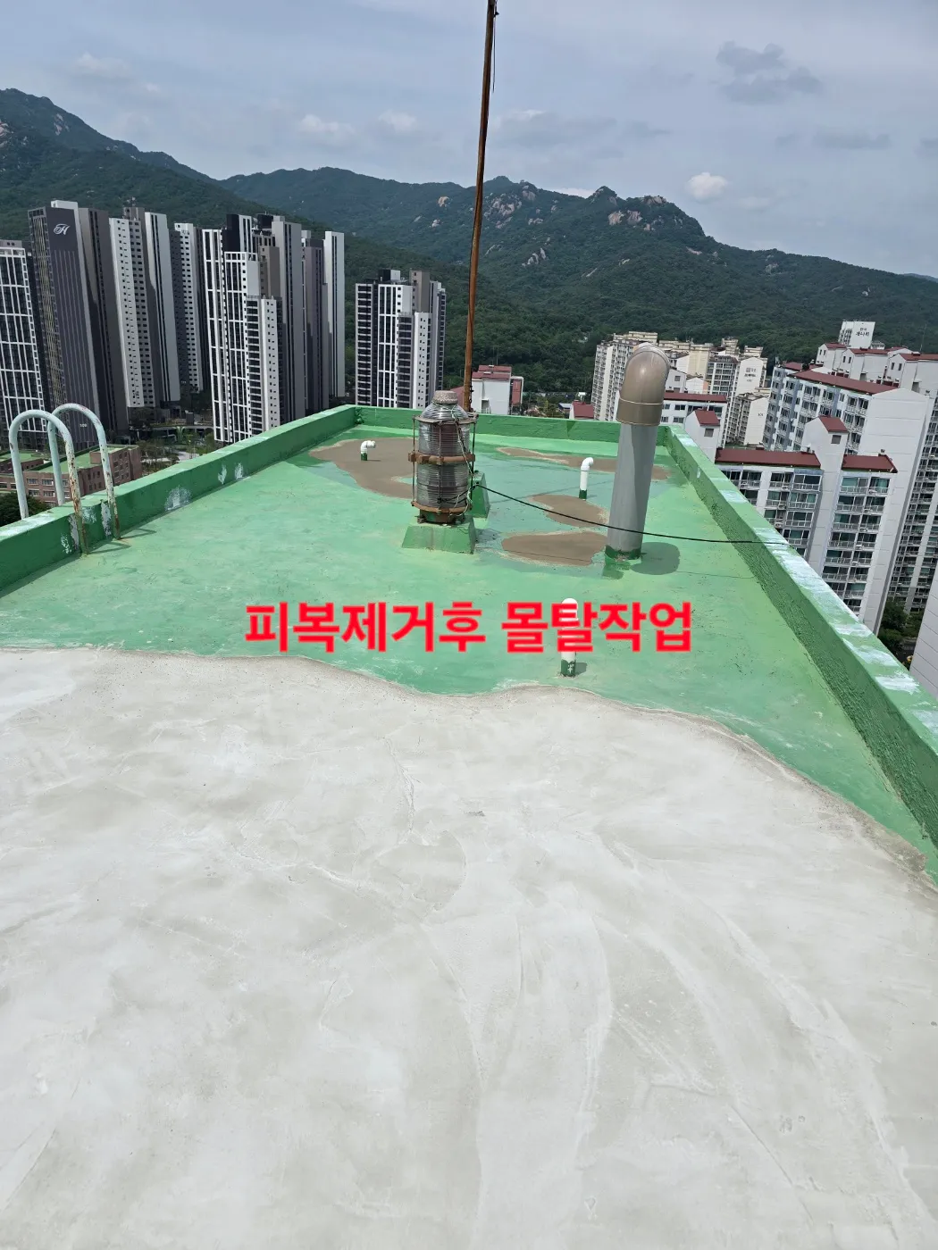 이미지 10