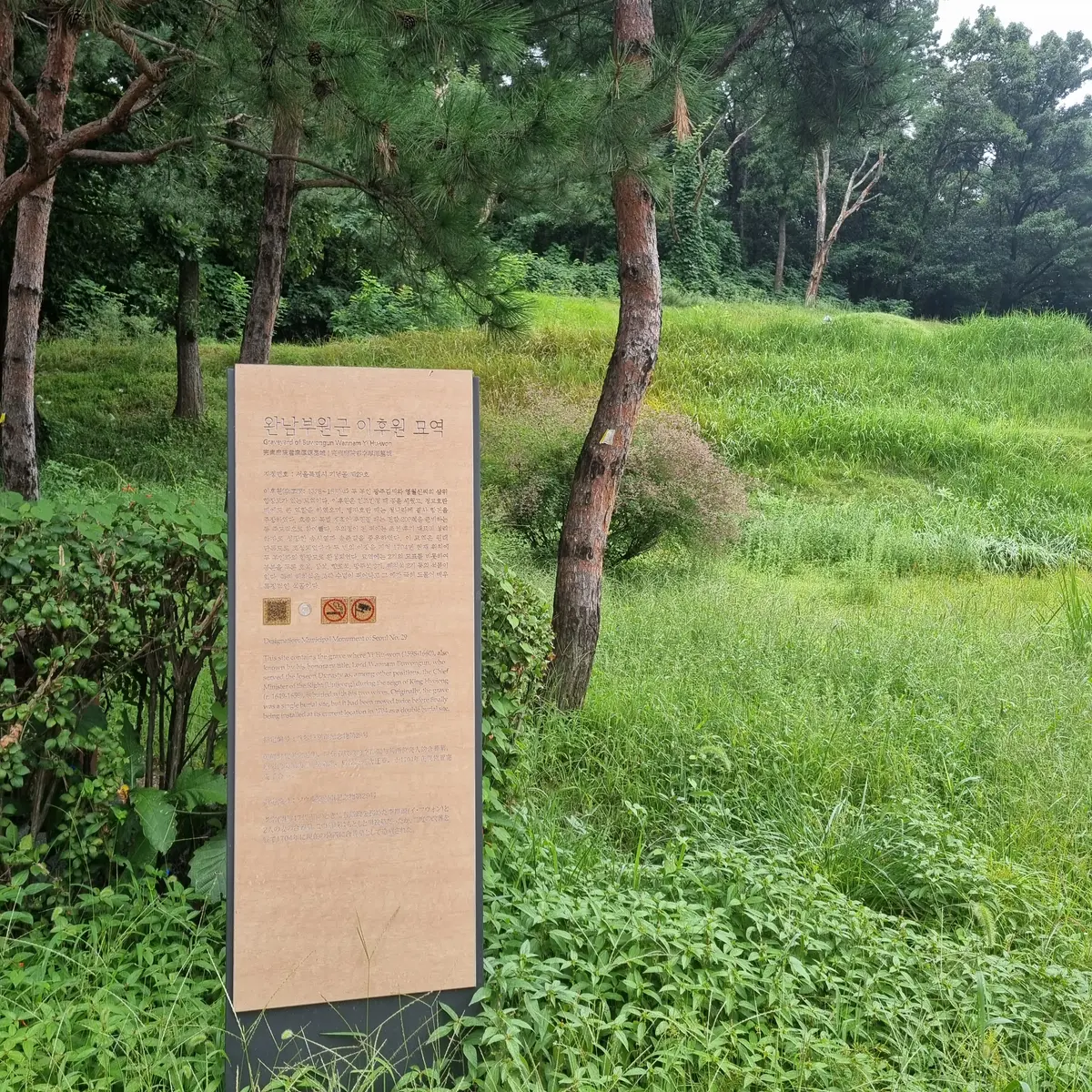 이미지 8