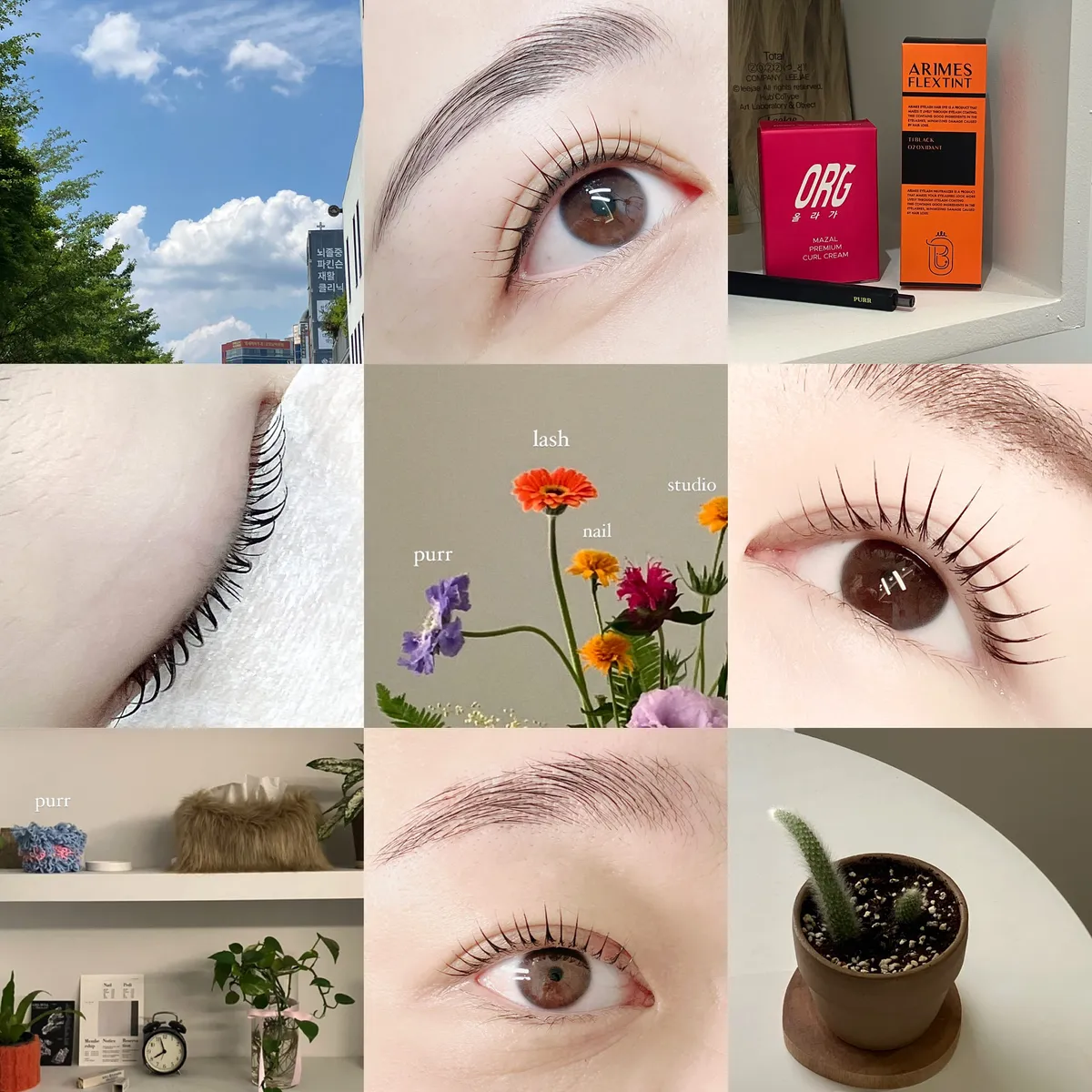 이미지 8