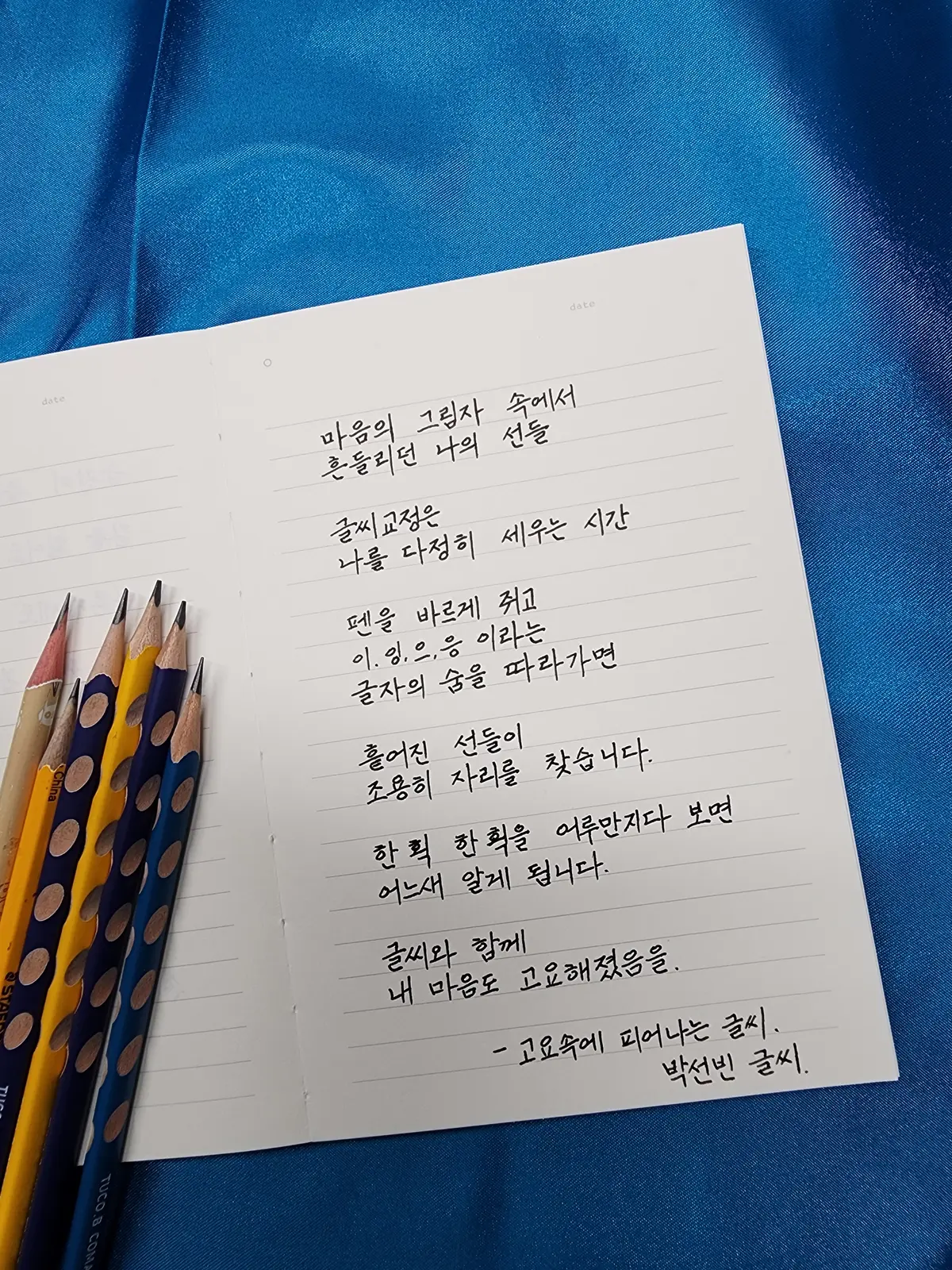 이미지 6