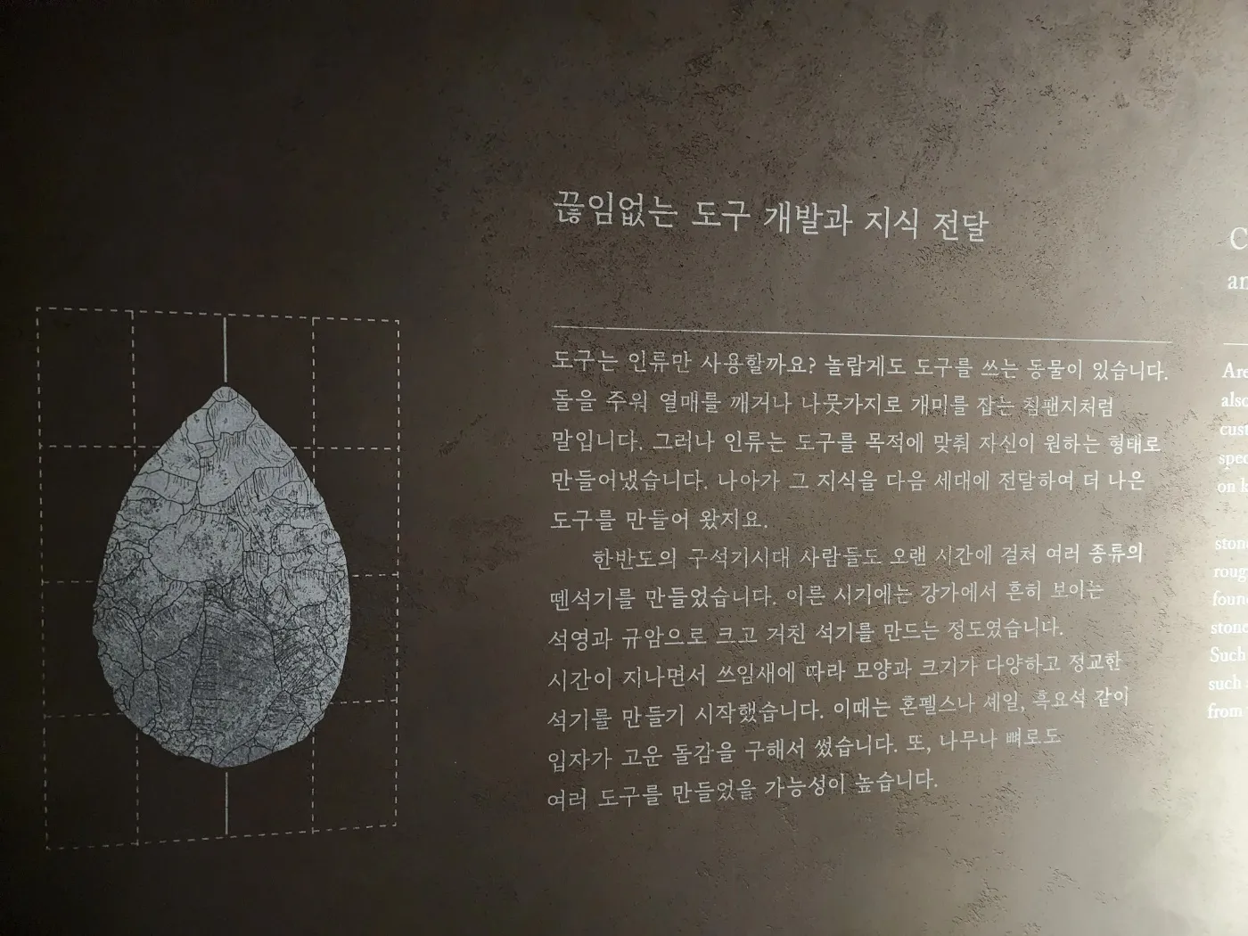 이미지 8