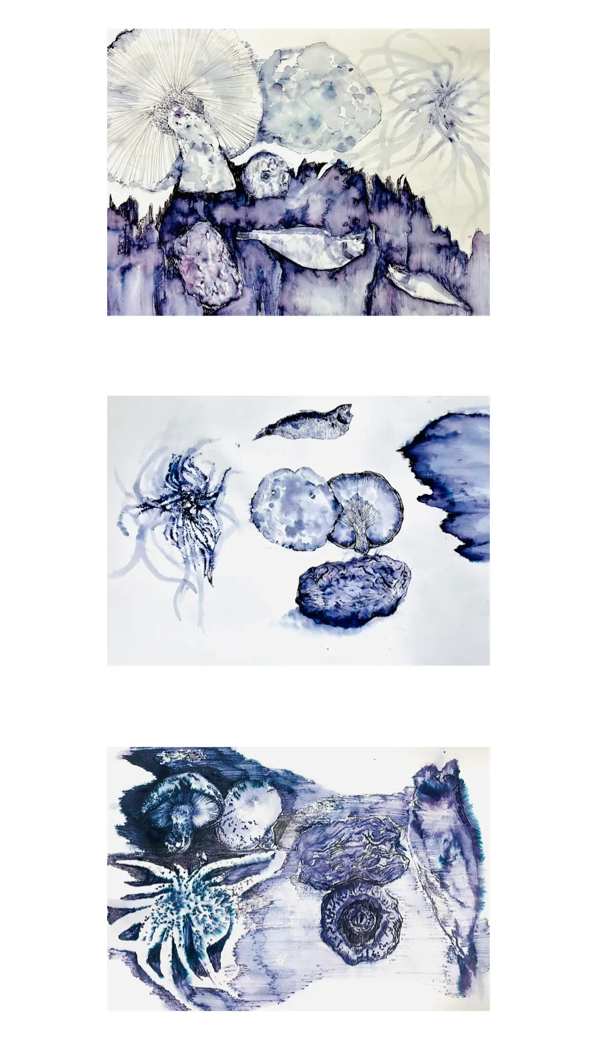 이미지 14