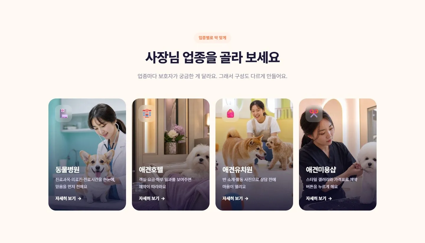 이미지 12