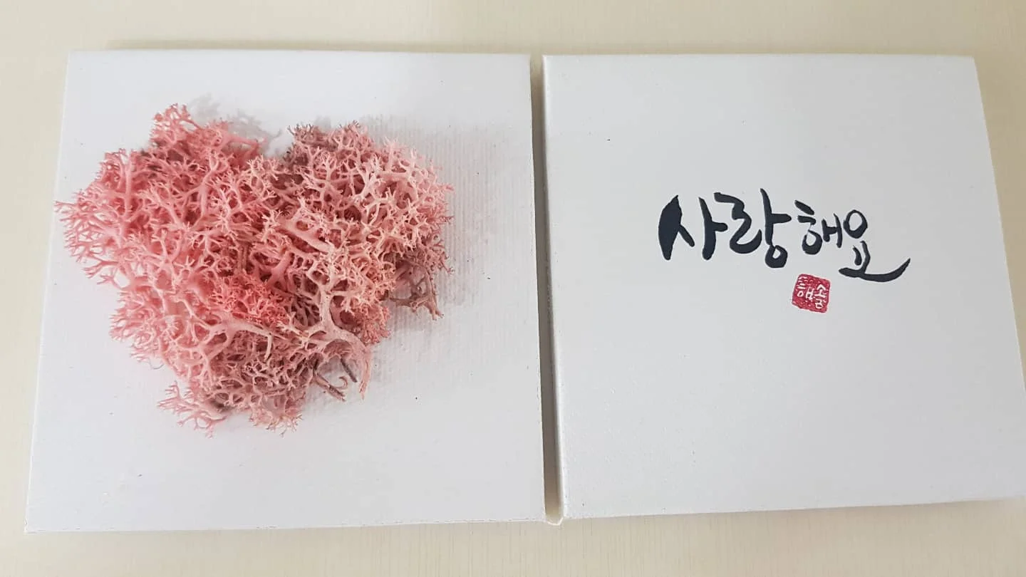 이미지 8