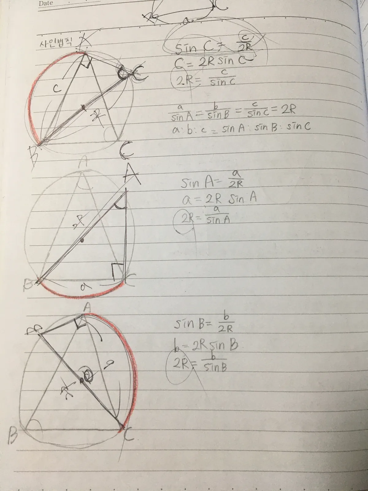 이미지 7