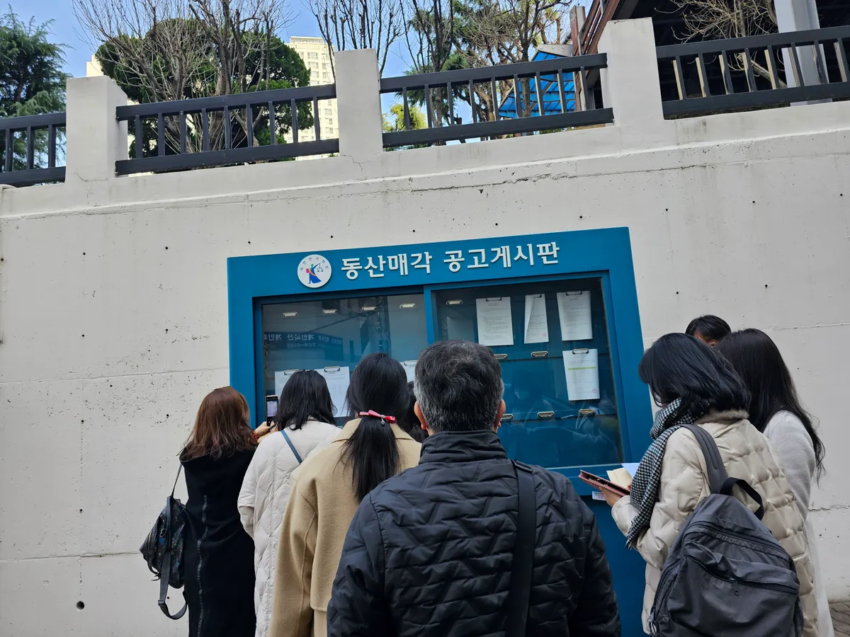 이미지 6