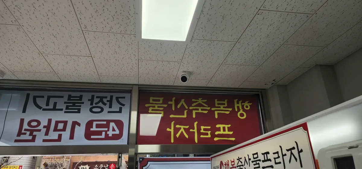 이미지 3