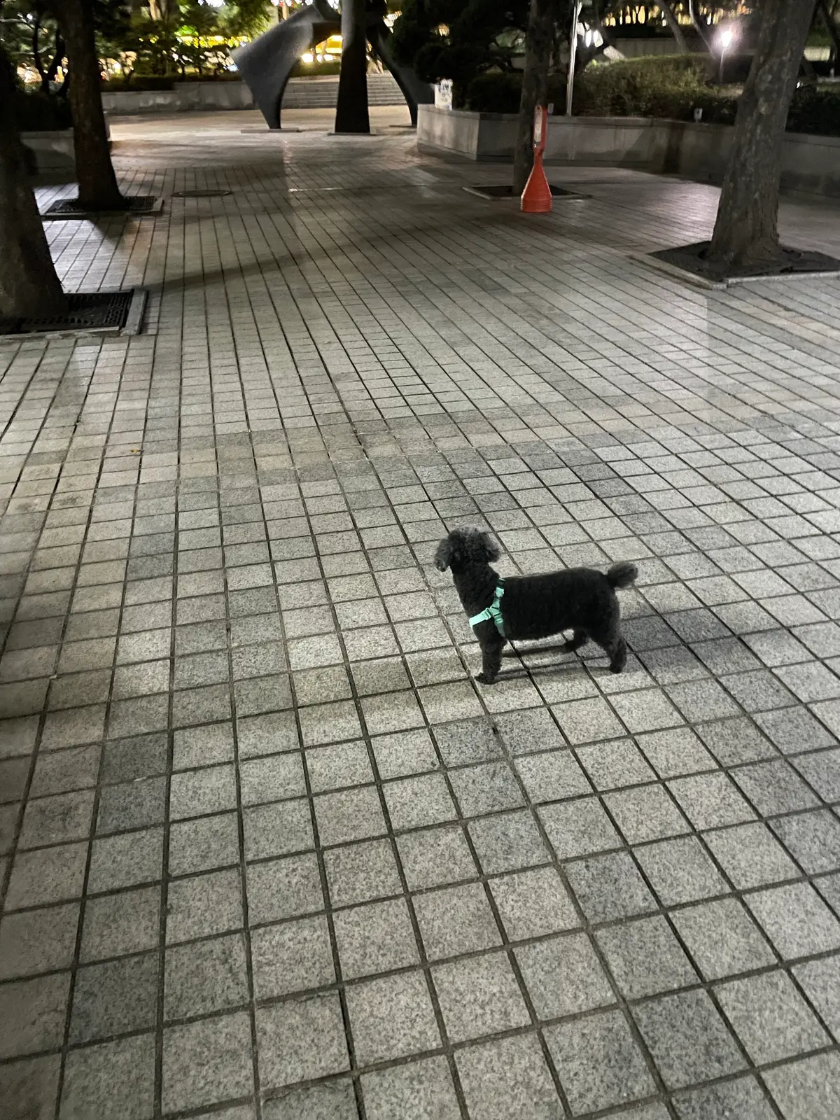 이미지 8