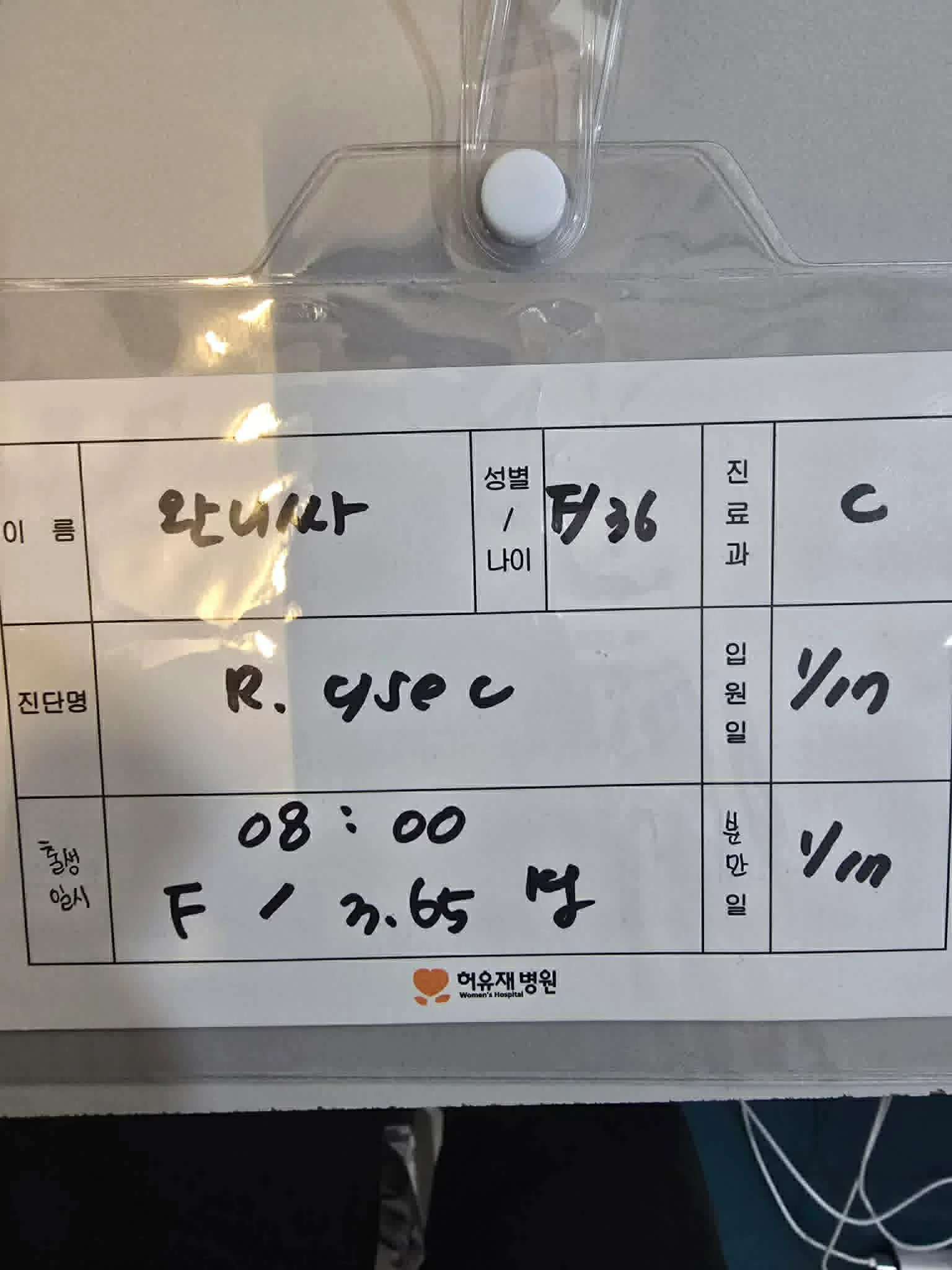 이미지 8