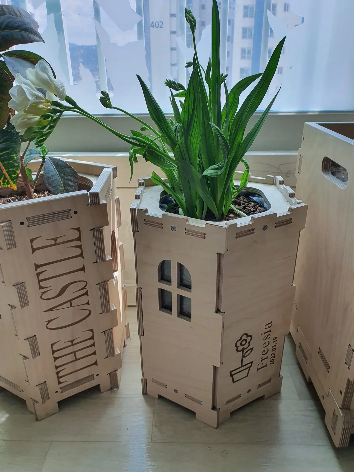 이미지 3