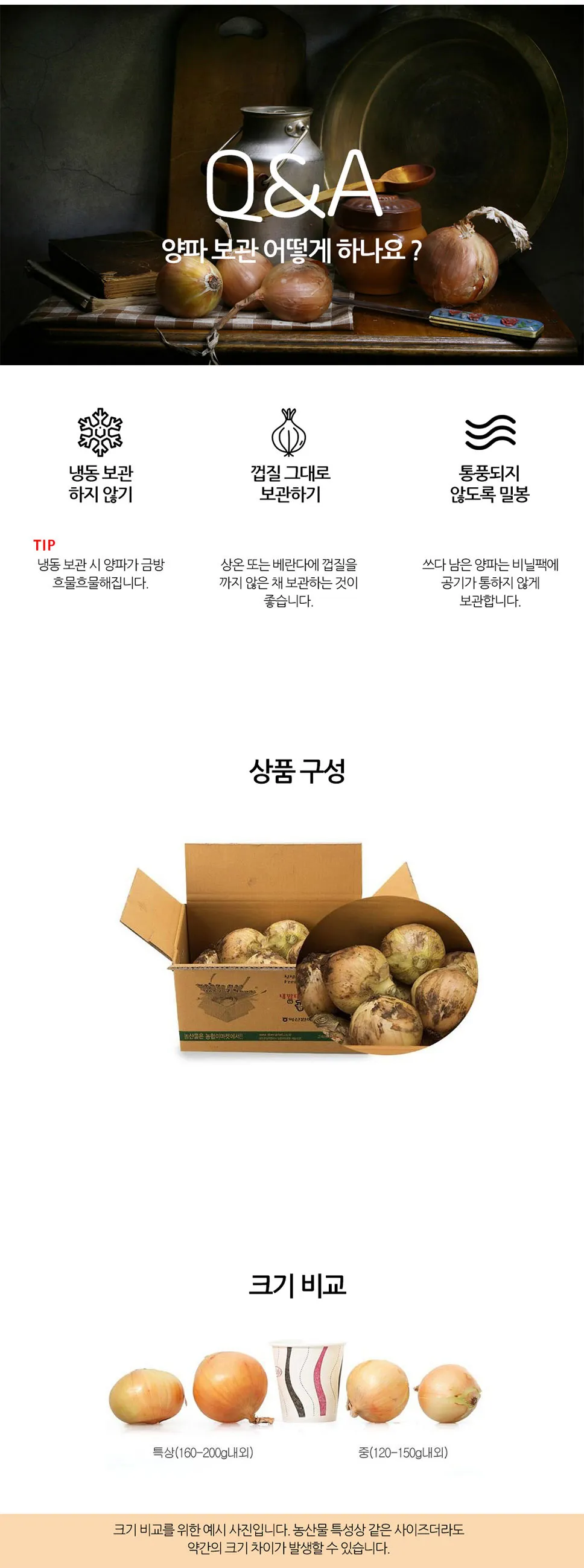 이미지 11