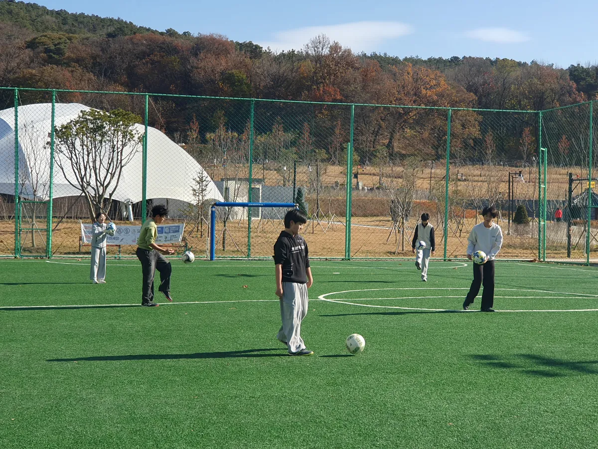 이미지 4