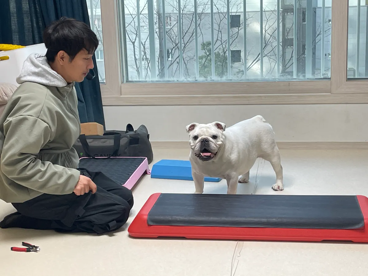 이미지 9
