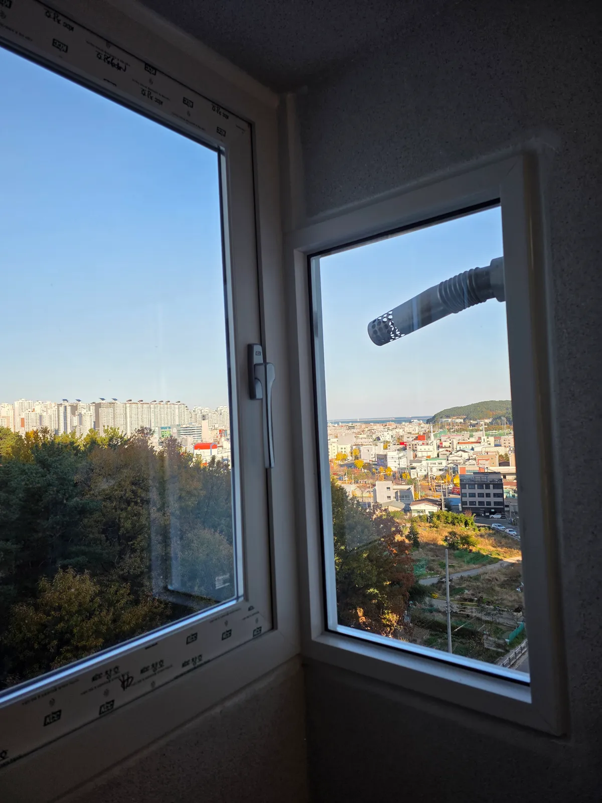 이미지 12