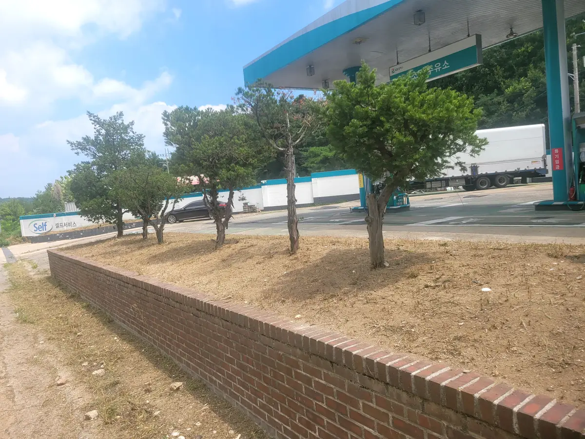 이미지 28