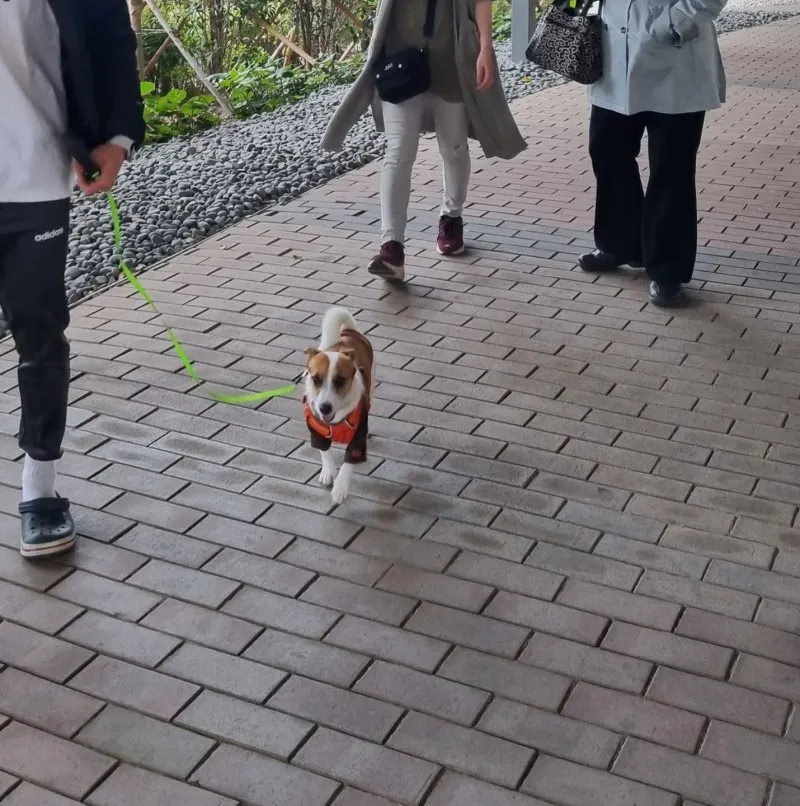이미지 3
