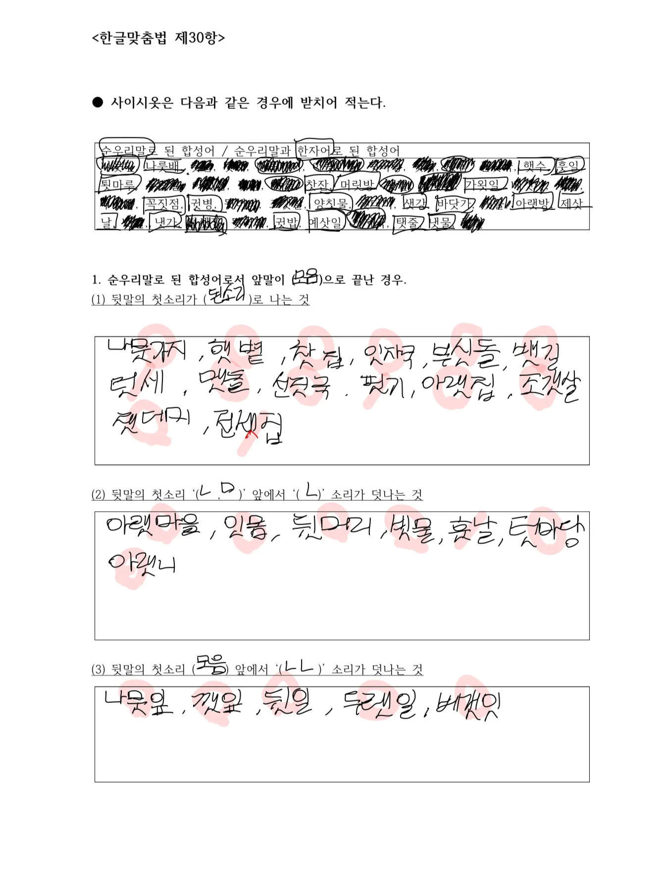 이미지 5