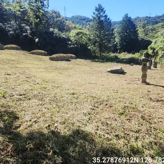 전남 장성군 황룡면