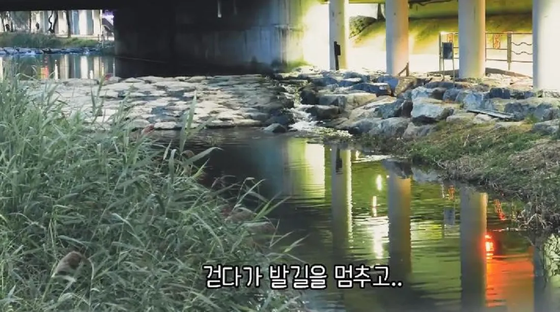 이미지 8