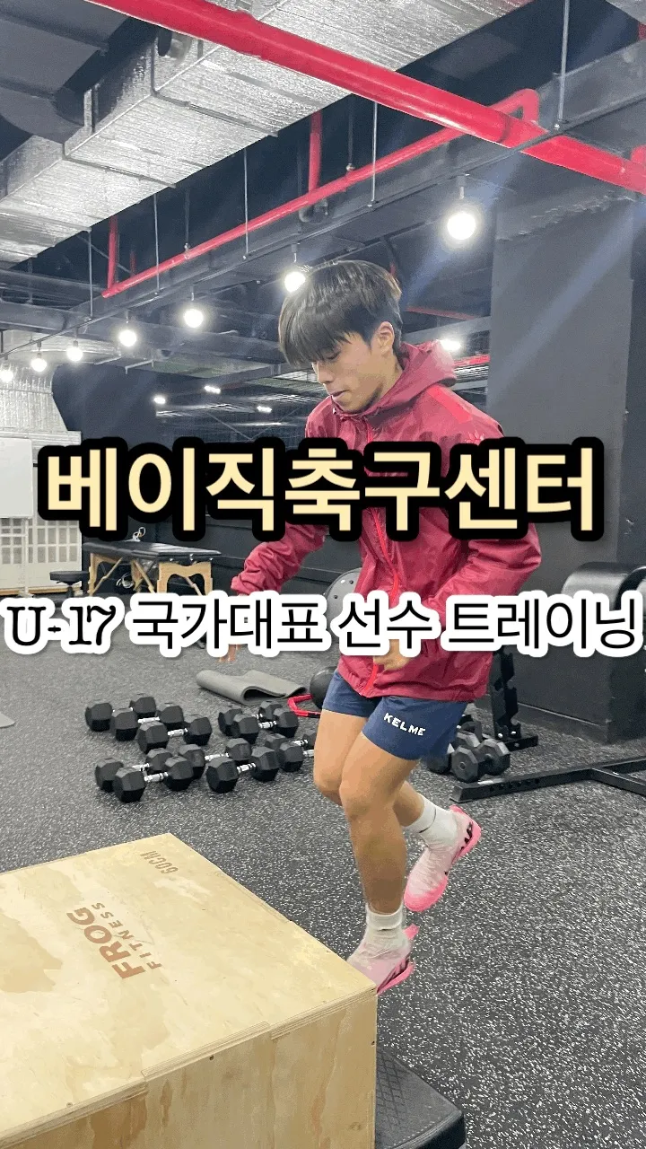 이미지 8