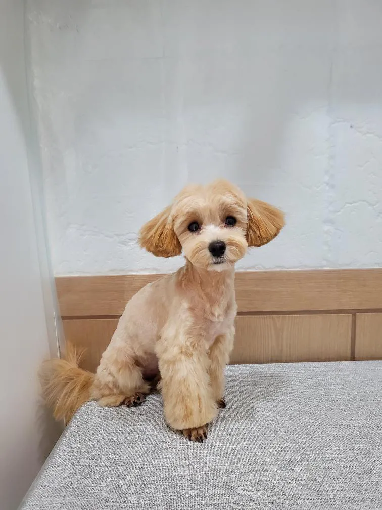 이미지 3