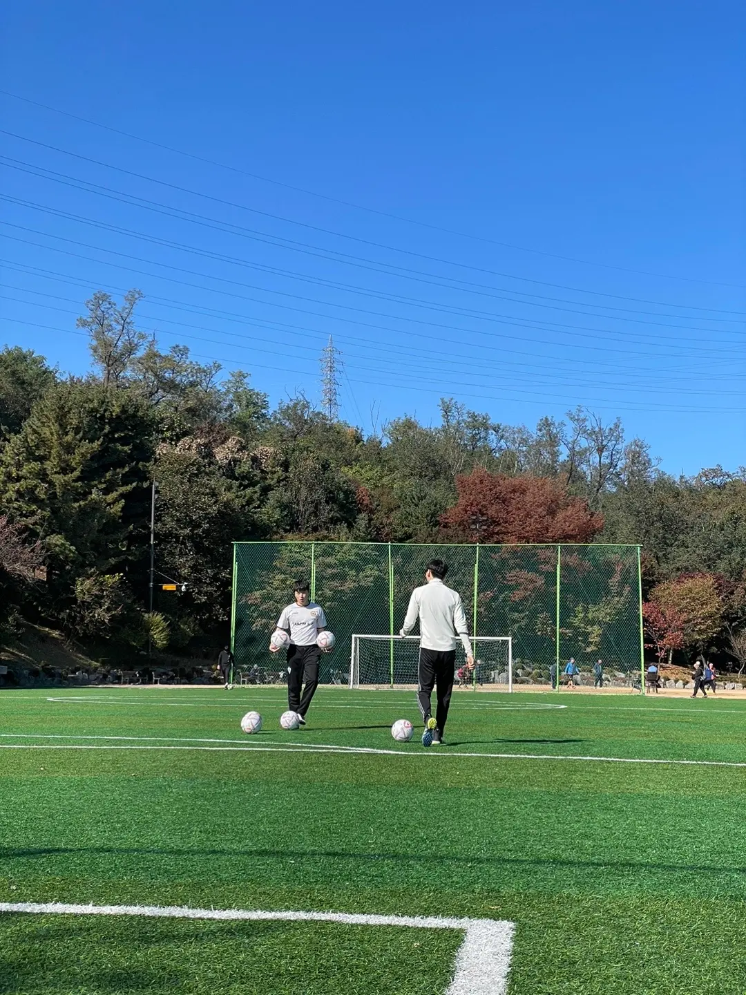 이미지 5