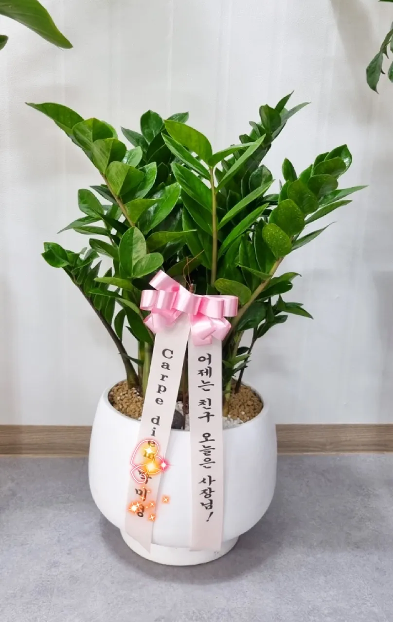 이미지 5