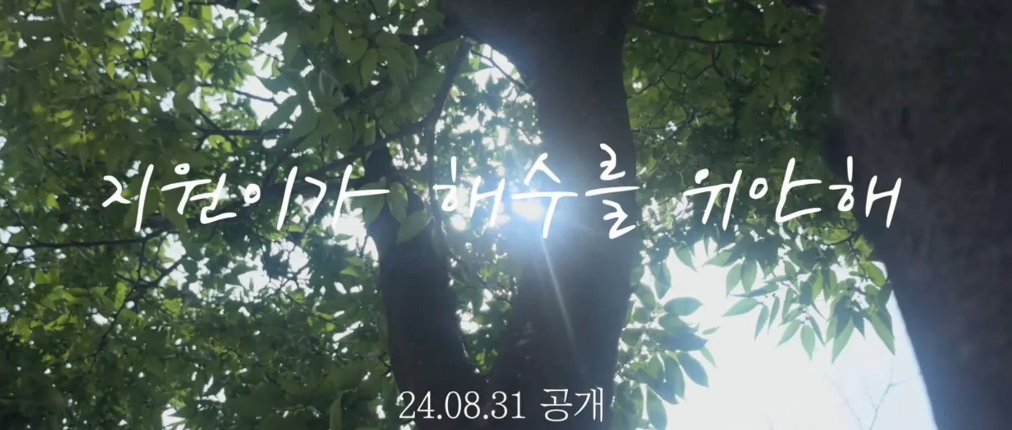 이미지 3