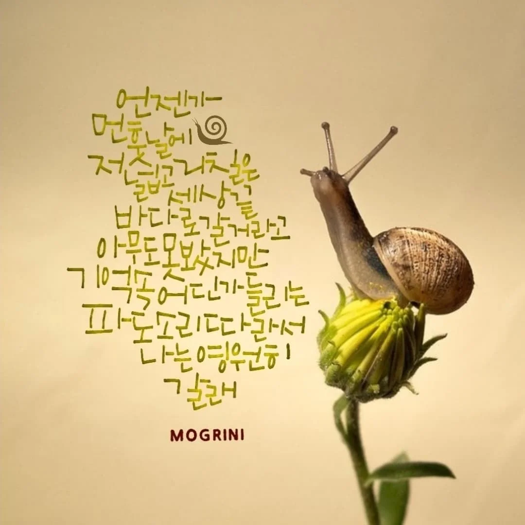 이미지 11