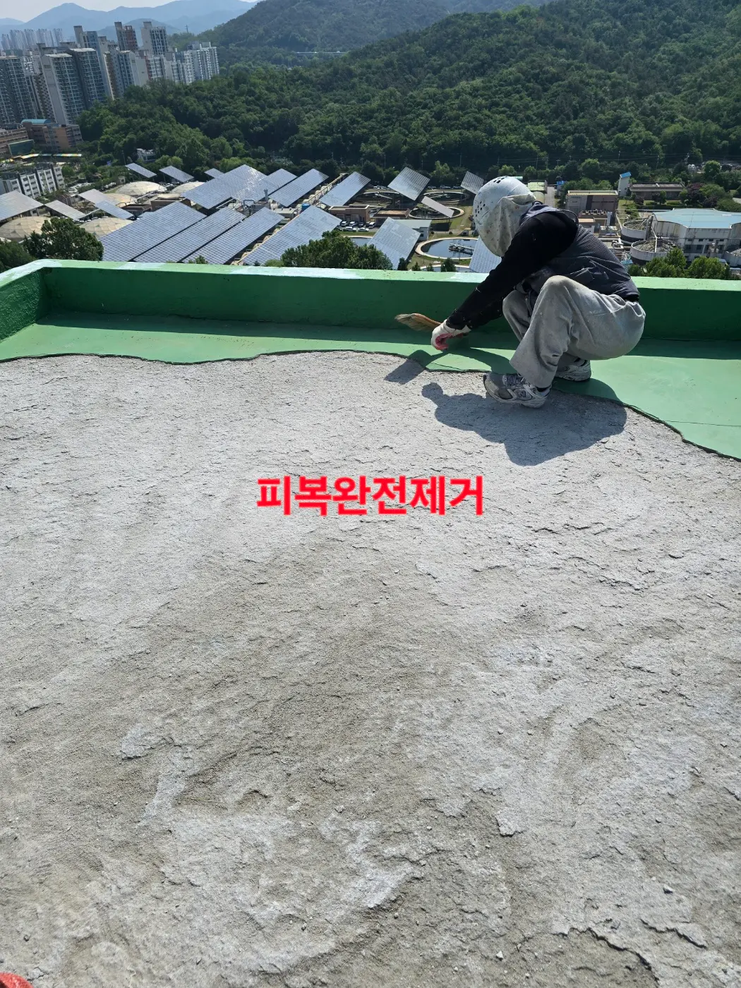 이미지 8