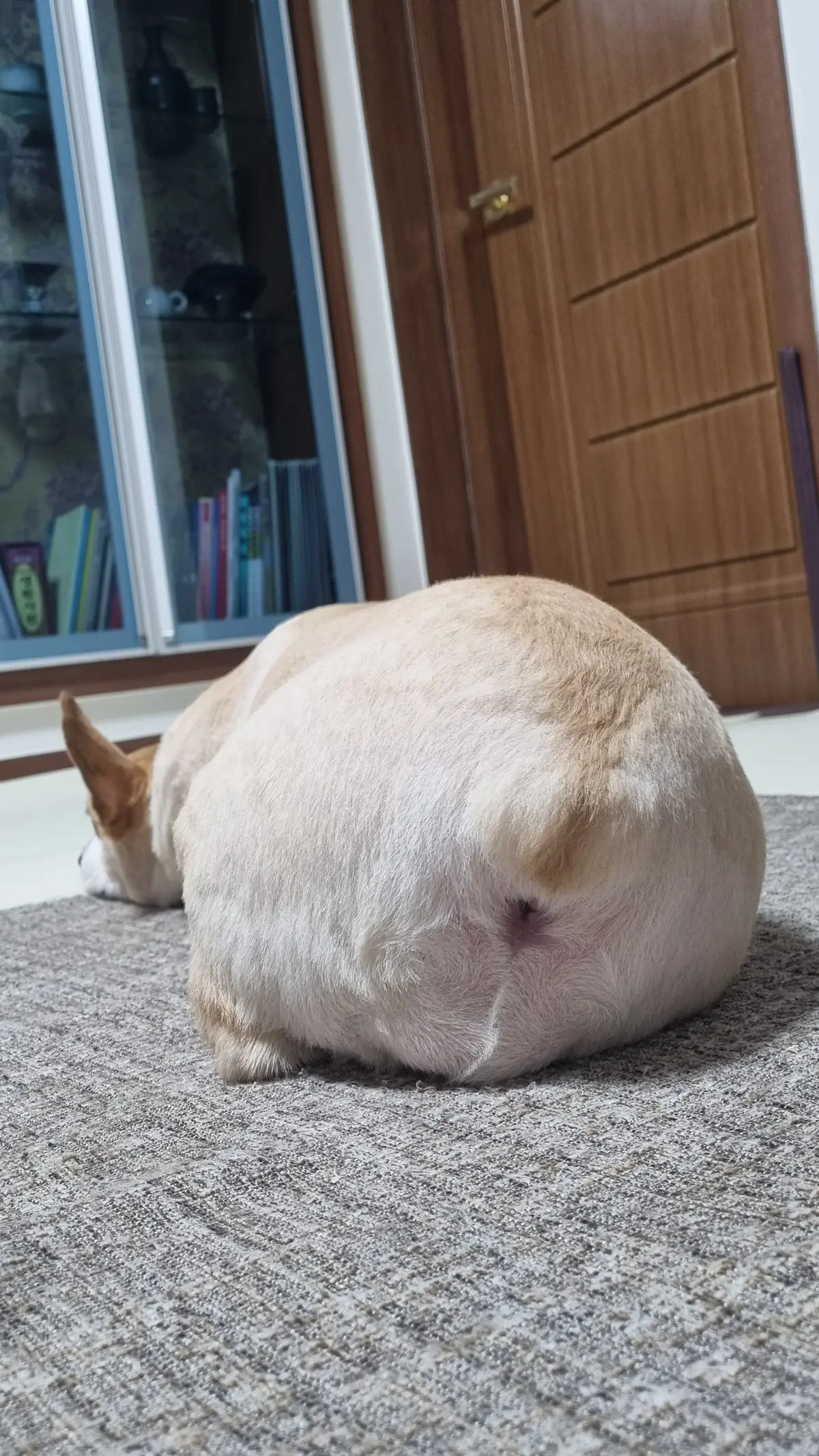 이미지 3