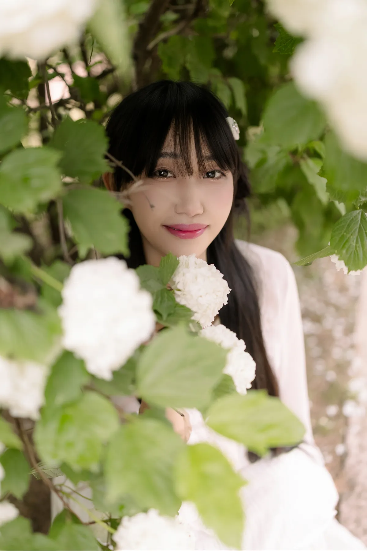 이미지 12