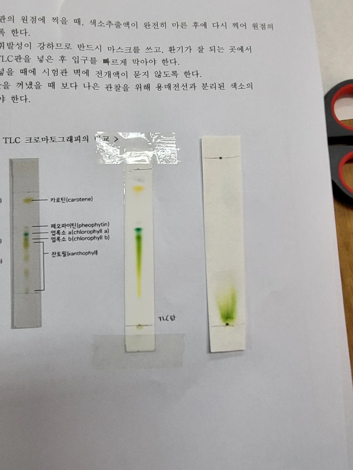 이미지 5