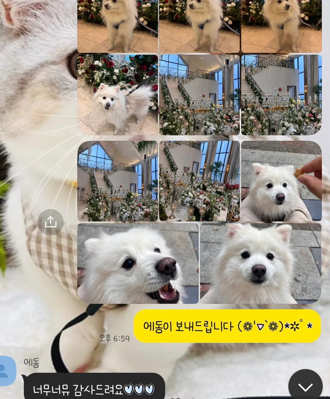 이미지 4