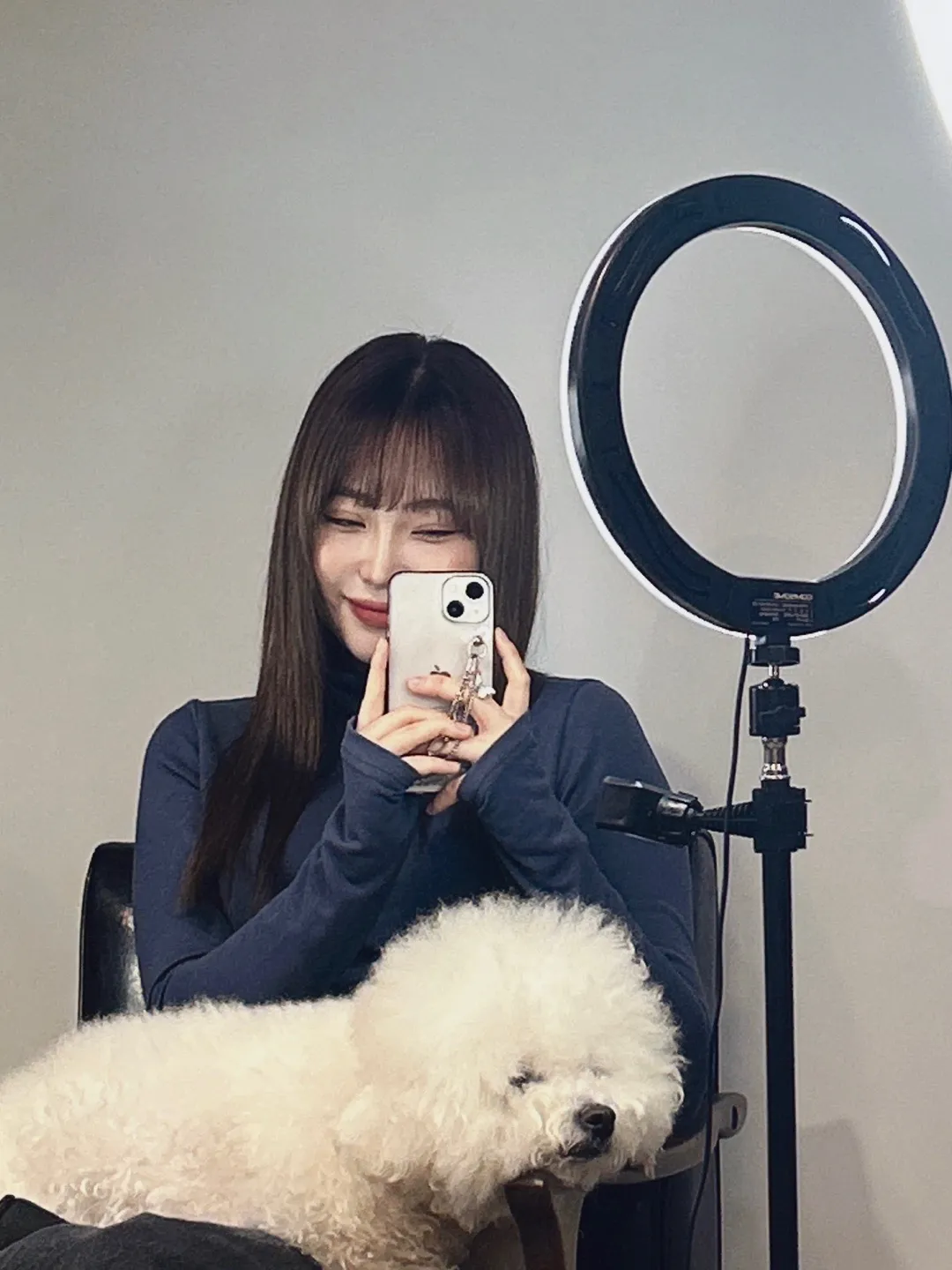 이미지 4